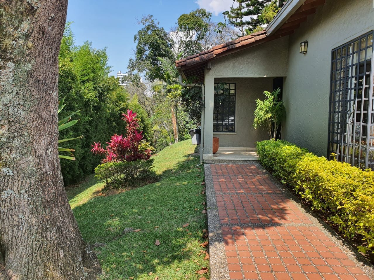 Well Located Stand-Alone Envigado Home On 2/3rd Acre Surrounded By Lush Natural Forest