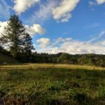 Country Living; 1.27 Acre Lot Ready To Build Near El Retiro and Nature Preserve