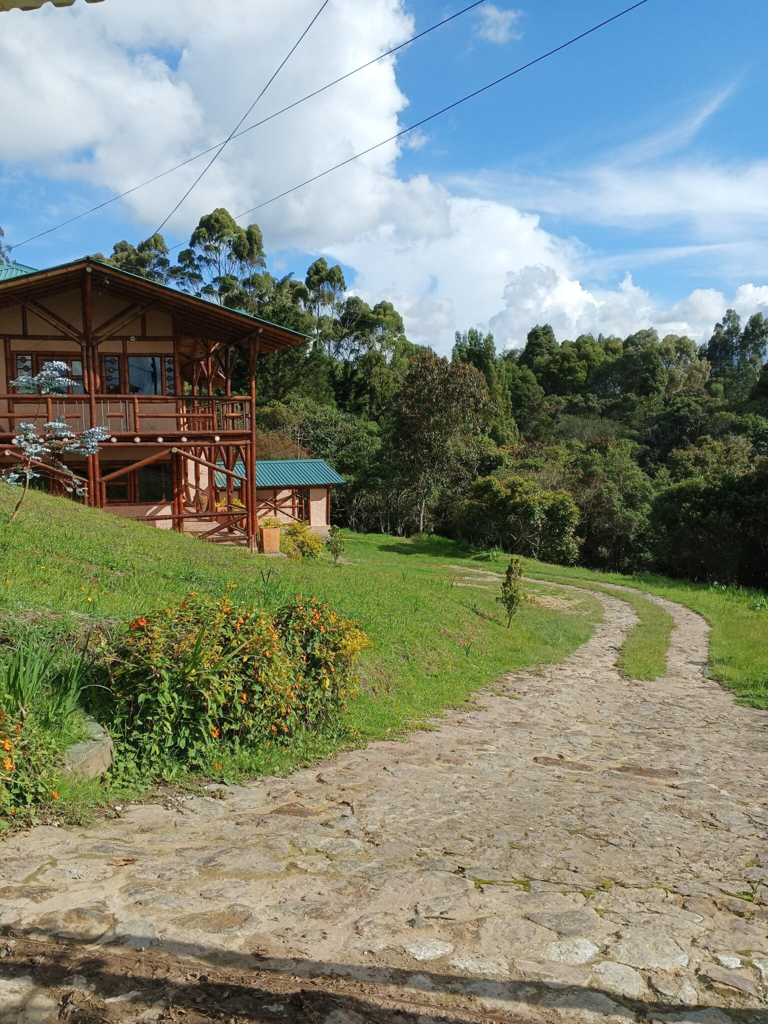 Finca única de bambú con 5 dormitorios y 1,18 hectáreas en Santa Elena con dos invernaderos, a una hora de Medellín.