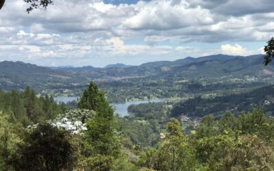 Ready to Build –  2.5 Acre Lot With Pristine Wooded & Lake Views Just 20 Minutes to Medellin