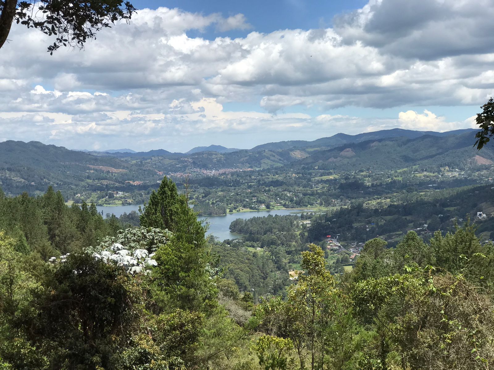 Listo para Construir - Lote de 2.5 Acres Con Prístinas Vistas Arboladas y al Lago A Solo 20 Minutos de Medellin