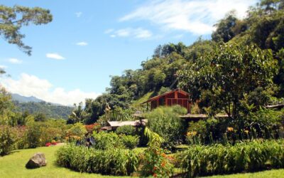 Price Reduced and Financing Available! Unique Coffee-Region Ecolodge on 6.17 Acres With Arched Historical Stone Bridges, 260m2 of Calming Riverfront, and Accommodations Up To 38 People