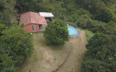 Low Budget Finca Under 45K USD Perfect For Small Hobby Farming Just One Hour From El Poblado