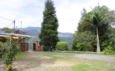 1/2 Acre Lot In Sabaneta With City Approval To Build A 3 Level Home – Includes Existing 100m2 Country Home