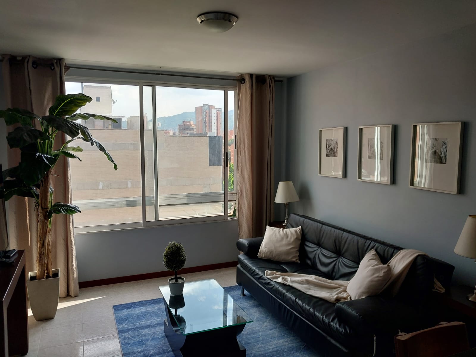 Our Lowest Cost Laureles Penthouse! Rental History, A/C, and Sound-Proof Windows Walkable to Entertainment