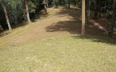 1.74 Acre Lot Ready To Build In Desirable Gated Community In Alto de Las Palmas