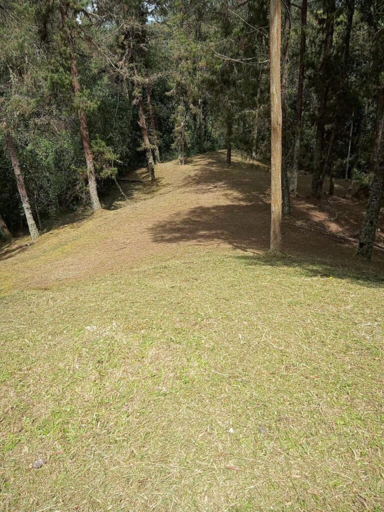 1.74 Acre Lot Ready To Build In Desirable Gated Community In Alto de Las Palmas