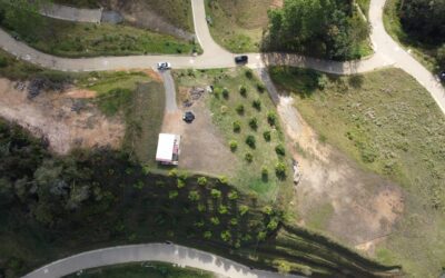 Expansive 0.71-Acre Lot with Producing Avocado Trees and Panoramic Views, 45 Minutes from Medellin