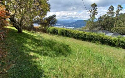1.48 Acre Plot Of Land In La Ceja Gated Community With Water And Electric – Ready To Build