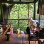 Low Cost, Low Fee 1BR El Poblado Apartment With Private Terrace and Green Views