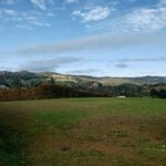 Well Located .25 Acre Lot In Exclusive 10 Property Subdivision – Easy City Access and 15 Minutes From The International Airport