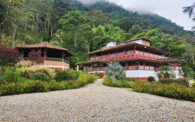 Enormous Jerico Finca Offering 900m2 Of Space Across 19 Acres